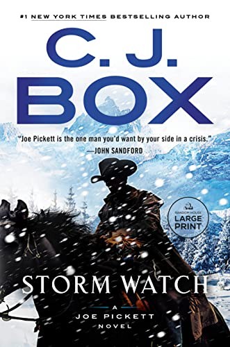 Cover of Storm Watch